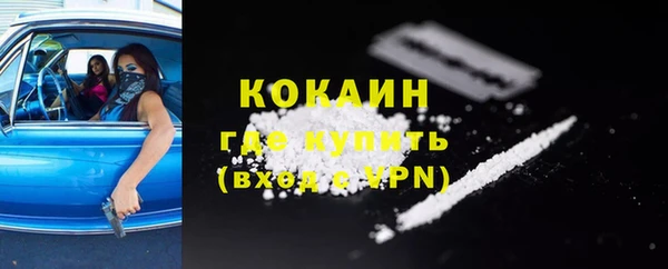 ешки Няндома