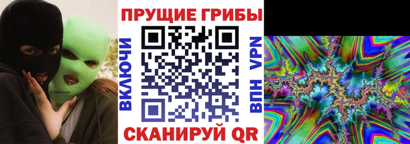 Галлюциногенные грибы Psilocybe Навашино